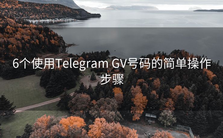 6个使用Telegram GV号码的简单操作步骤