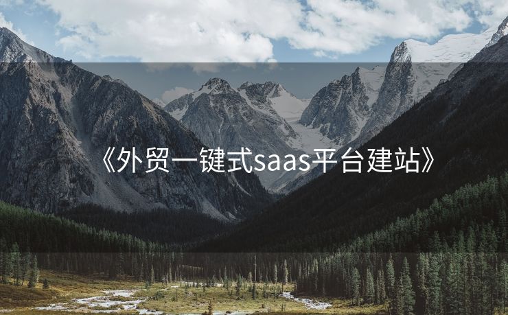 《外贸一键式saas平台建站》