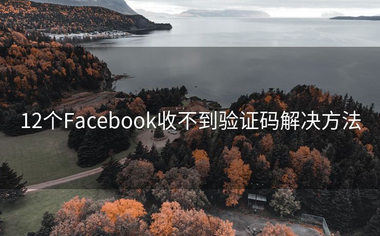 12个Facebook收不到验证码解决方法