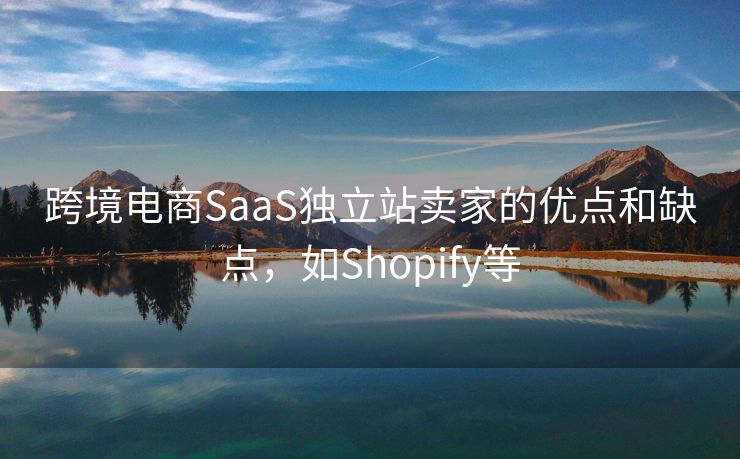 跨境电商SaaS独立站卖家的优点和缺点，如Shopify等