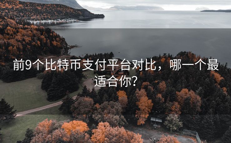 前9个比特币支付平台对比，哪一个最适合你？