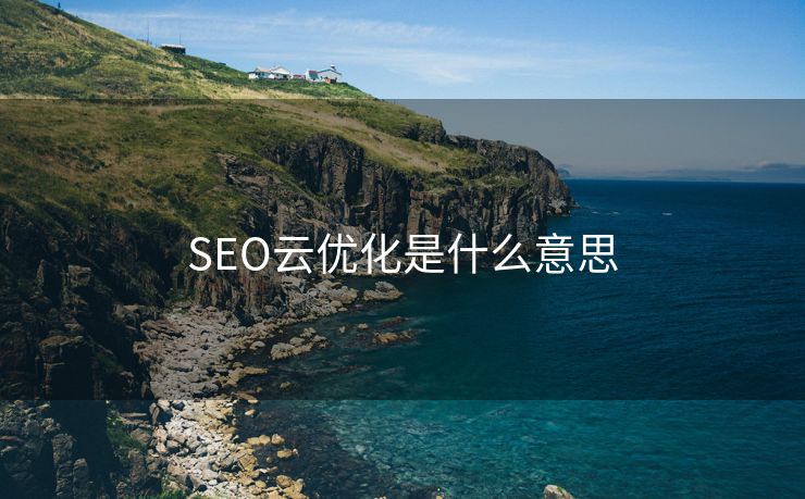 SEO云优化是什么意思