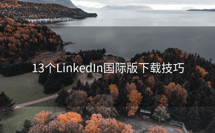 13个LinkedIn国际版下载技巧