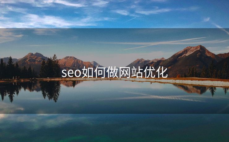 seo如何做网站优化