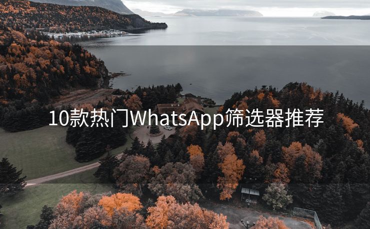 10款热门WhatsApp筛选器推荐