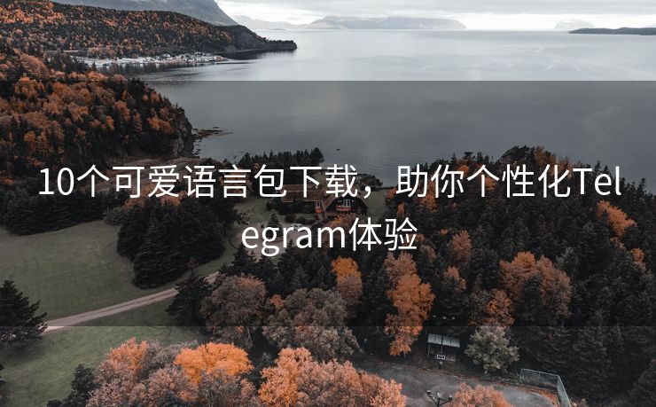 10个可爱语言包下载，助你个性化Telegram体验