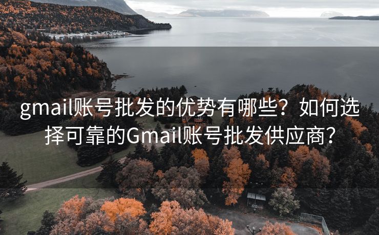 gmail账号批发的优势有哪些？如何选择可靠的Gmail账号批发供应商？