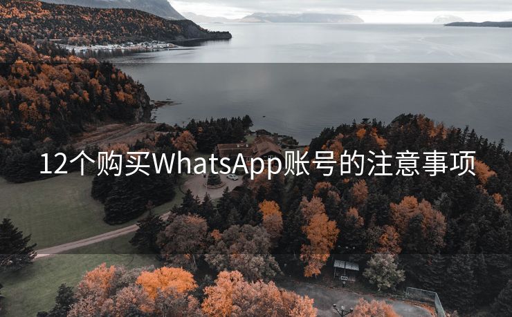 12个购买WhatsApp账号的注意事项