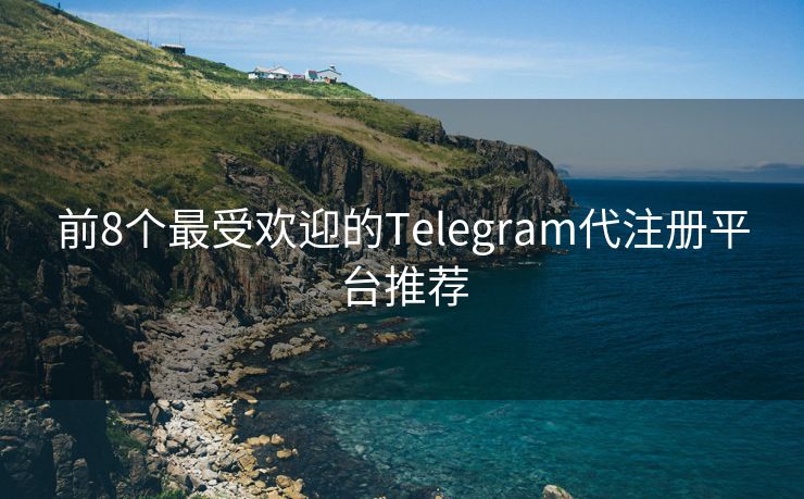 前8个最受欢迎的Telegram代注册平台推荐