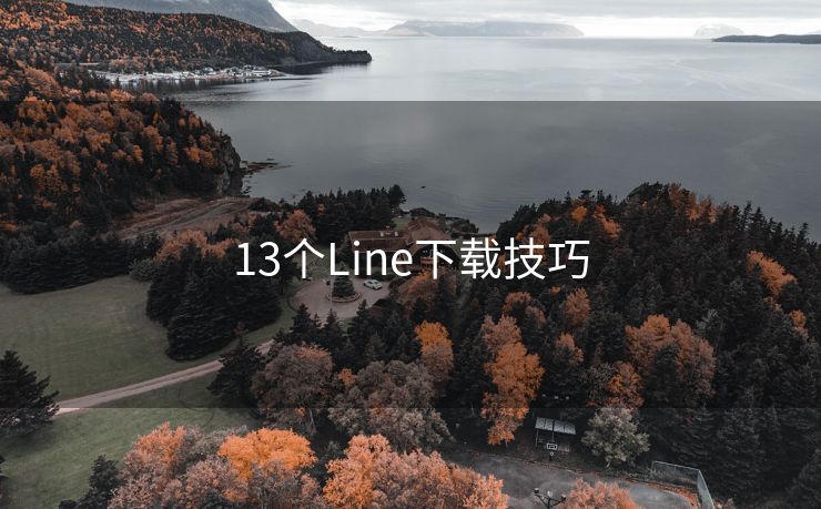 13个Line下载技巧