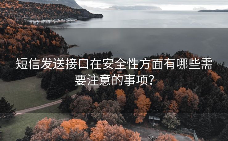 短信发送接口在安全性方面有哪些需要注意的事项？