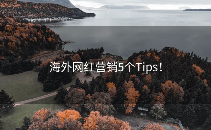 海外网红营销5个Tips！