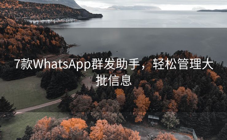 7款WhatsApp群发助手，轻松管理大批信息