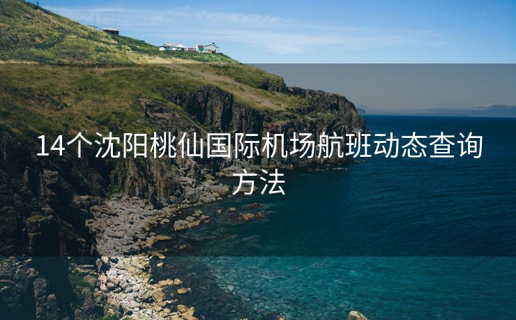 14个沈阳桃仙国际机场航班动态查询方法