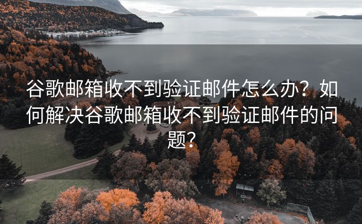 谷歌邮箱收不到验证邮件怎么办？如何解决谷歌邮箱收不到验证邮件的问题？