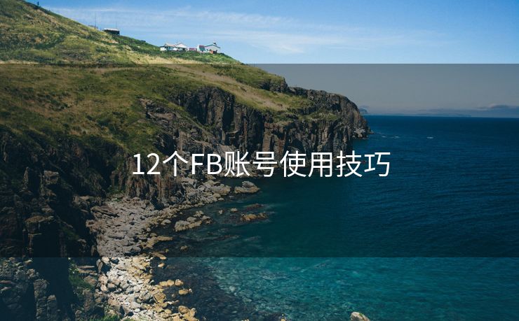 12个FB账号使用技巧