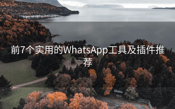 前7个实用的WhatsApp工具及插件推荐