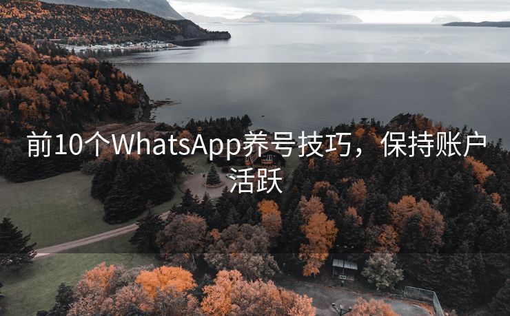 前10个WhatsApp养号技巧，保持账户活跃