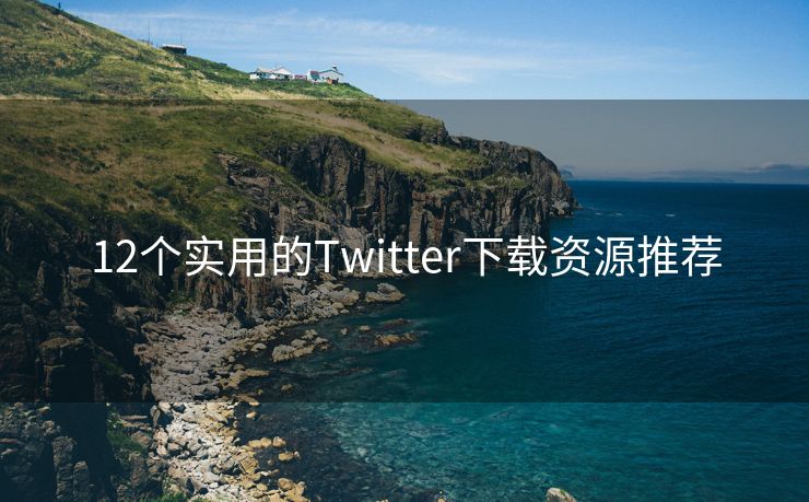 12个实用的Twitter下载资源推荐