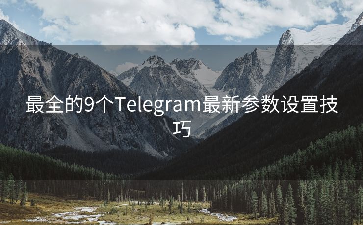 最全的9个Telegram最新参数设置技巧