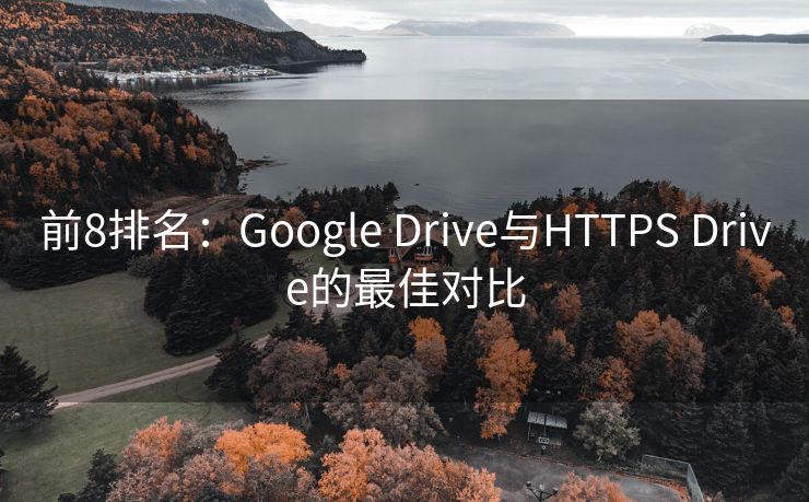 前8排名：Google Drive与HTTPS Drive的最佳对比