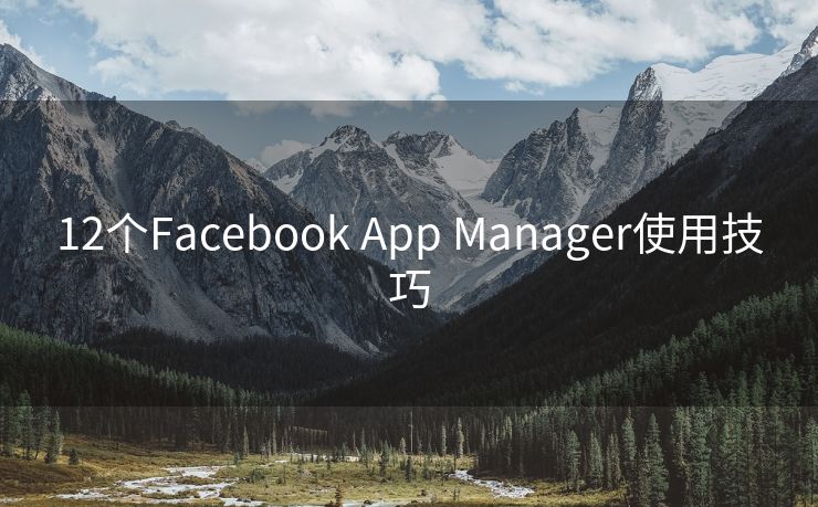 12个Facebook App Manager使用技巧