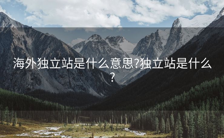 海外独立站是什么意思?独立站是什么?