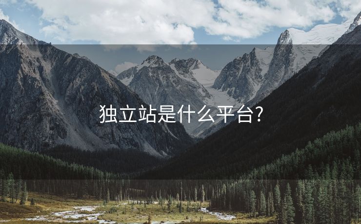 独立站是什么平台?